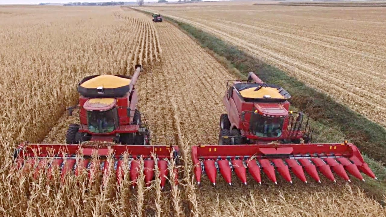 Harvest 2017 - Leusink Farms