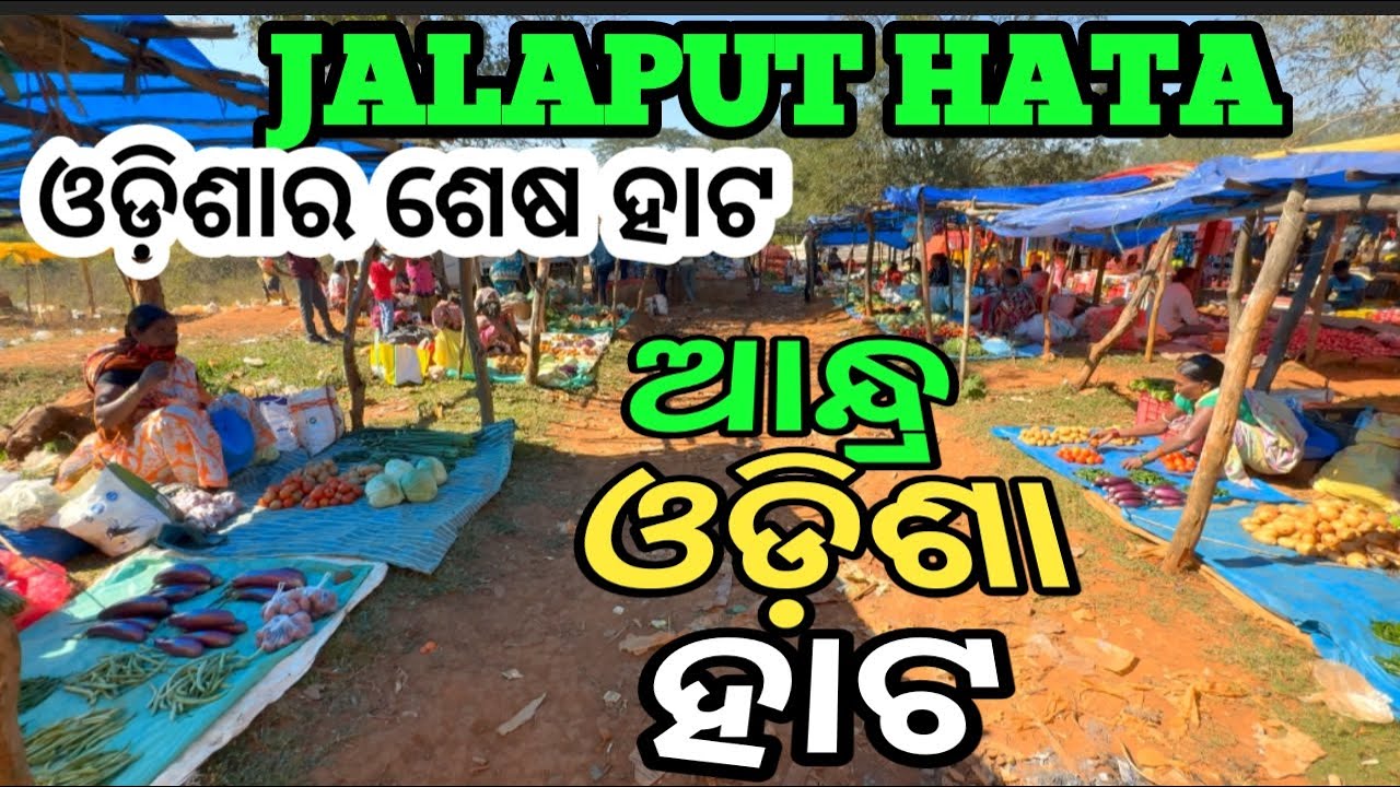 Koraput hata॥ Jalaput hata ॥ ଜଲାପୁଟ ହାଟ ॥ adivasi hata॥ଆଦିବାସି ହାଟ ॥Tribal hata॥@faujiananta