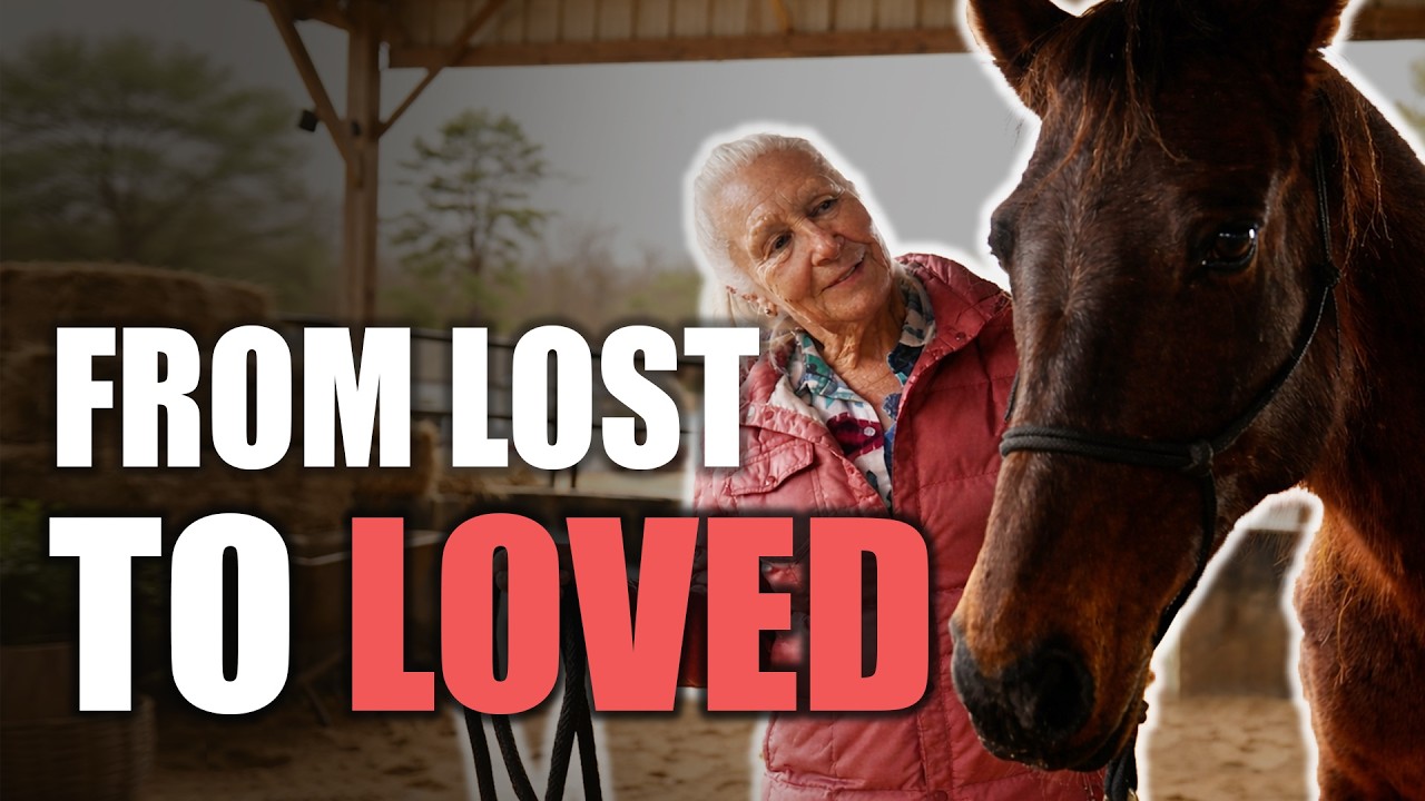 Two Different Journeys. One Happy Ending. | Horse Shelter Heroes - S7E8