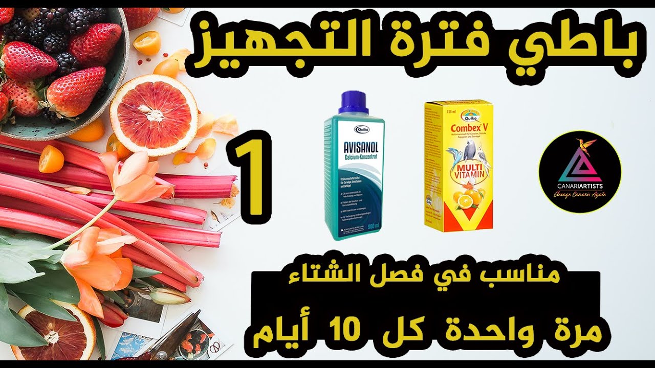 1 تربية طيور الكناري باطي التجهيز #ELEVAGE_CANARIS_COULEUR