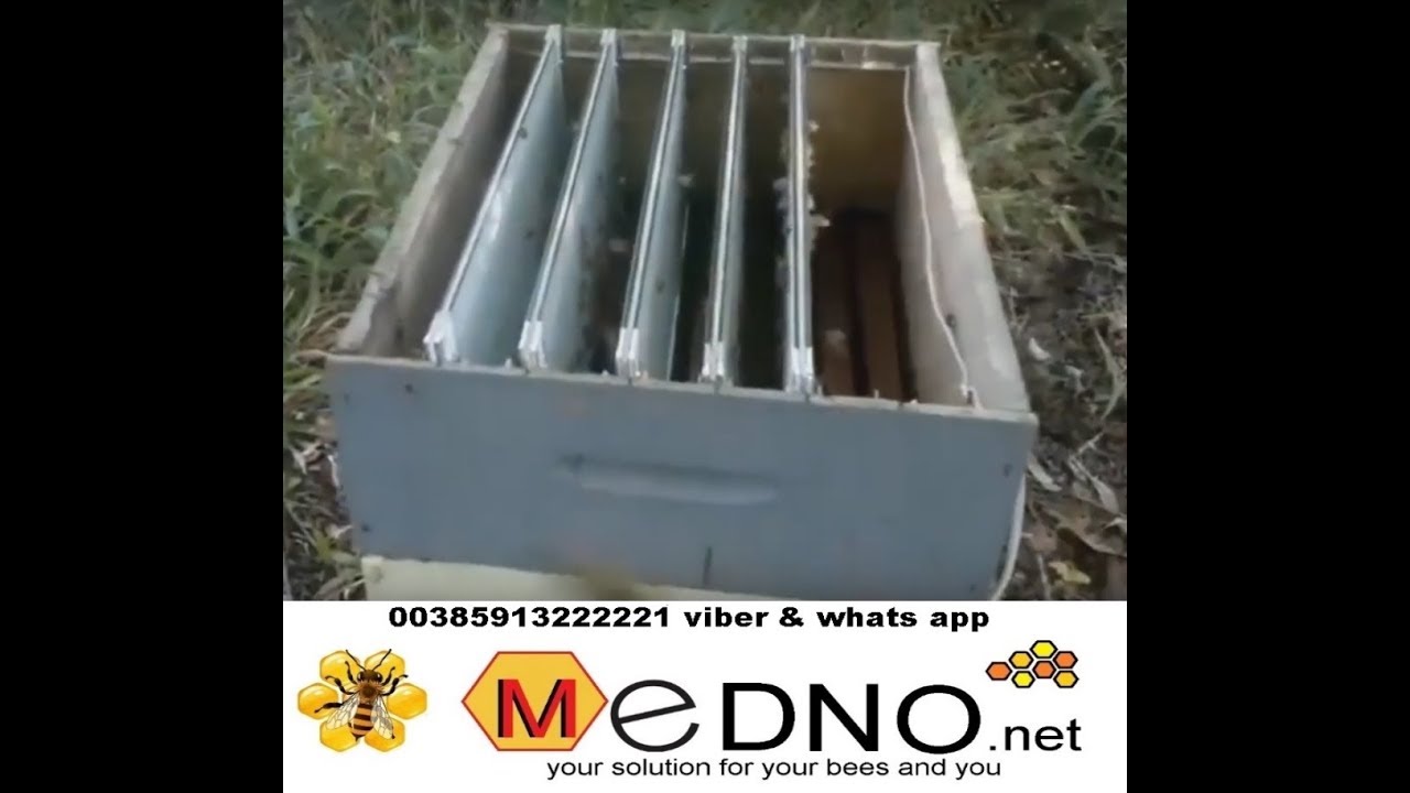 Bee Venom Collector vertical model collection of bee venom  apitoxin  at night