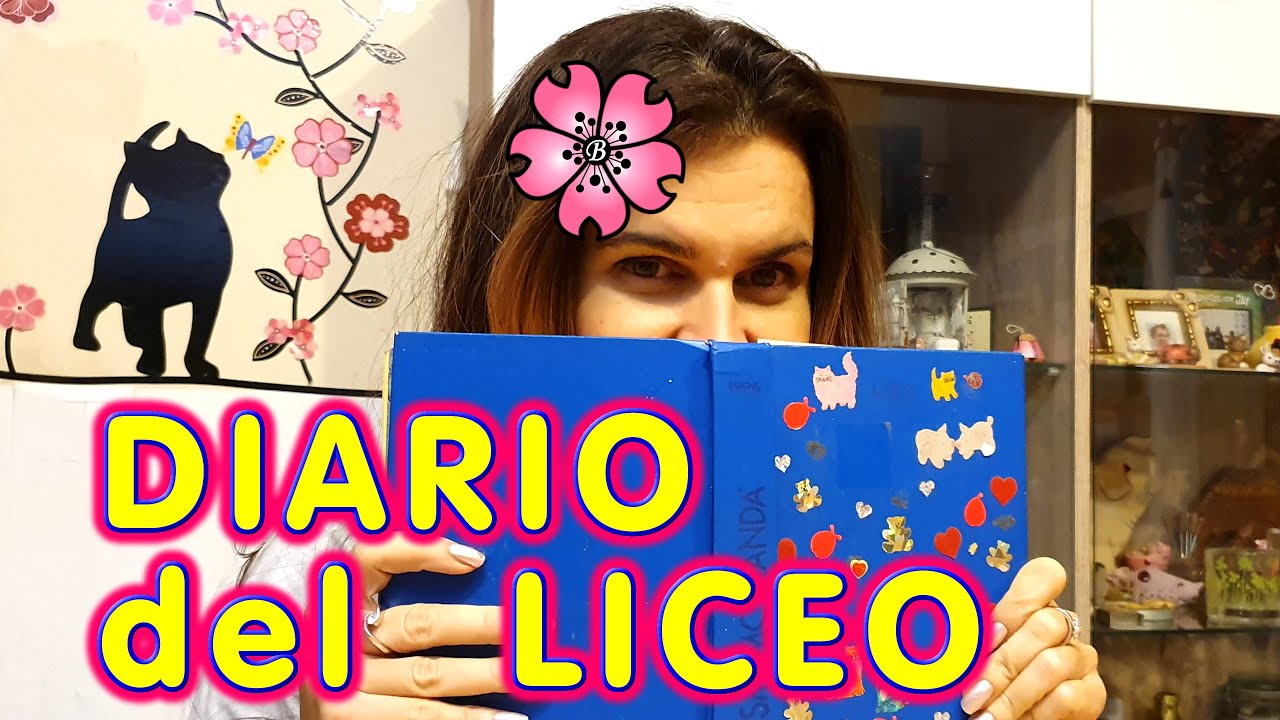 COSA C'ERA NEL MIO DIARIO di 22 ANNI FA!!