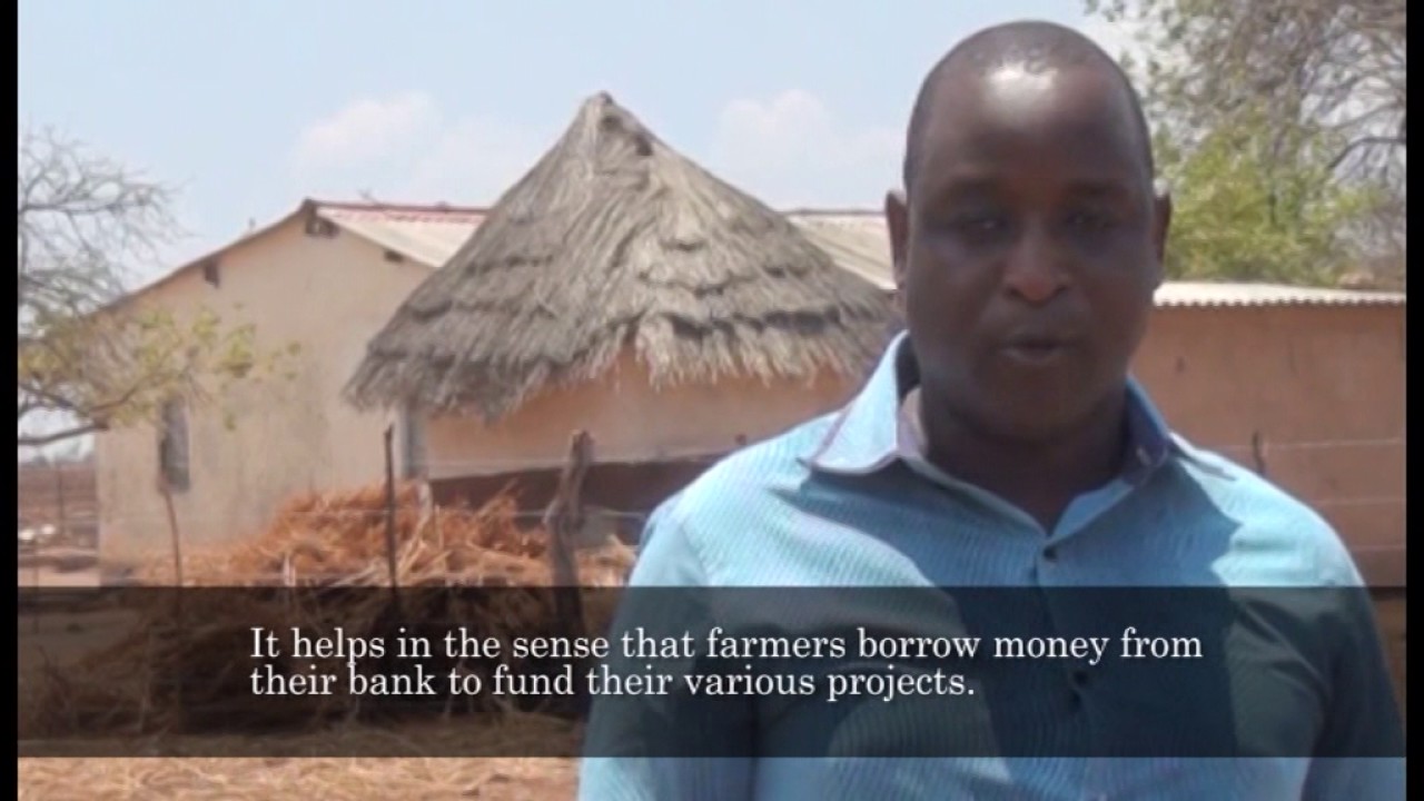 Small Holder farmers self financing in Zimbabwe