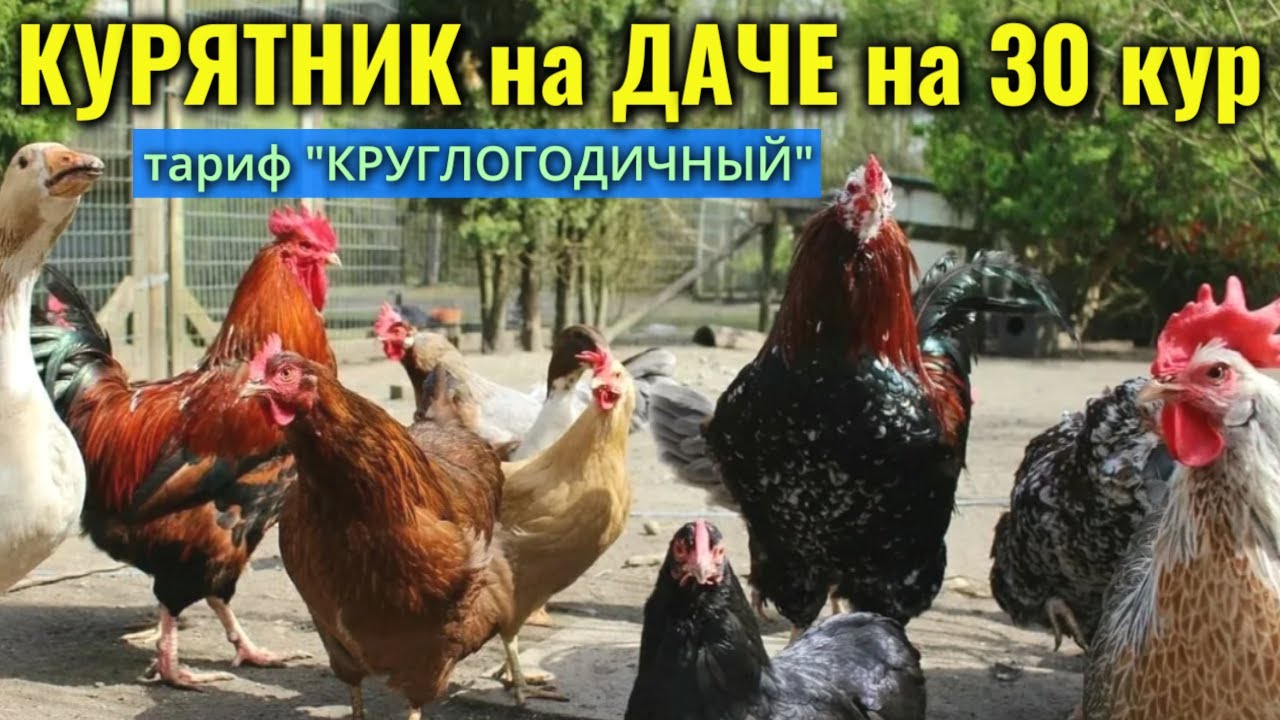 ПОЛНОСТЬЮ АВТОНОМНЫЙ КУРЯТНИК для дачи на 30 кур
