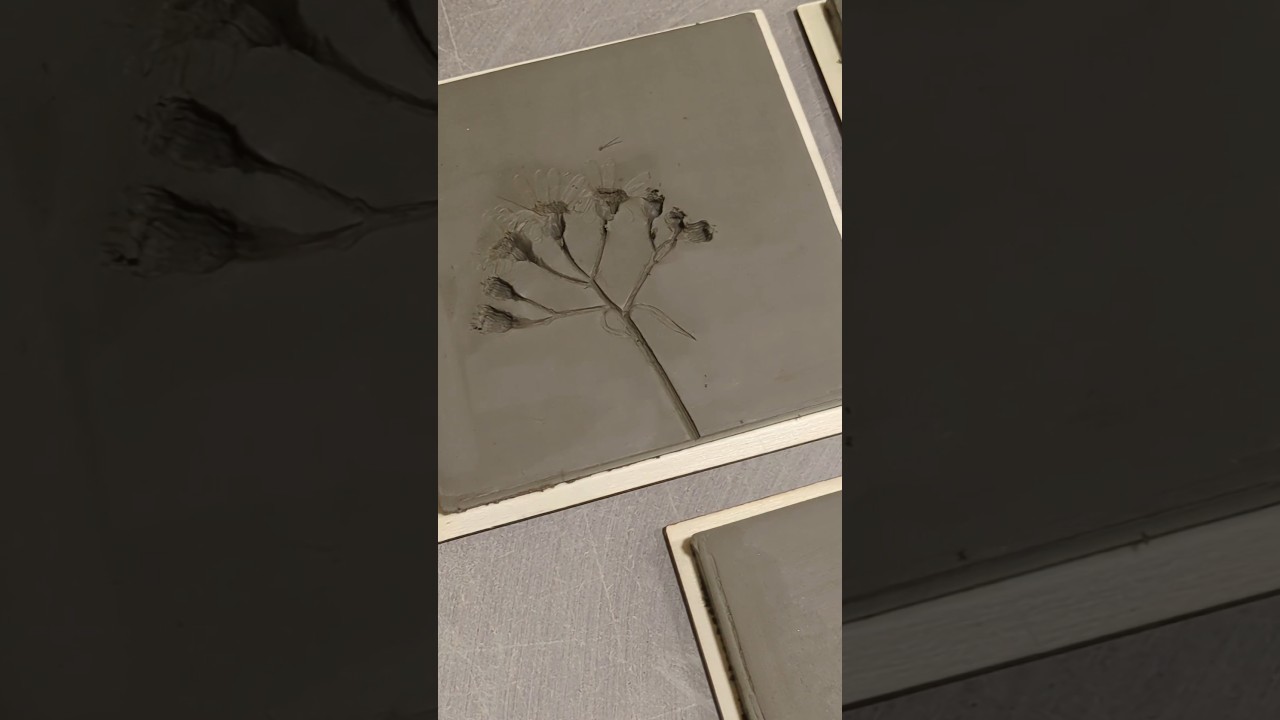 making some pressed flower kitchen tiles! 🌺🌷🌻 #handmade #ceramictiles #handmadetiles #pressedflower