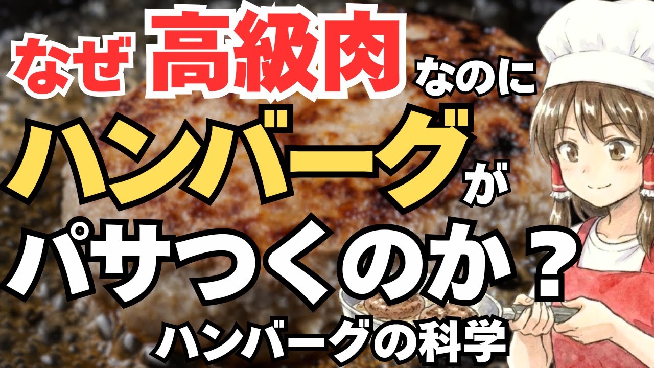 【ゆっくり解説】なぜ高級肉を使ったのにハンバーグがパサつくのか？肉汁が逃げる意外なメカニズム！ハンバーグの科学