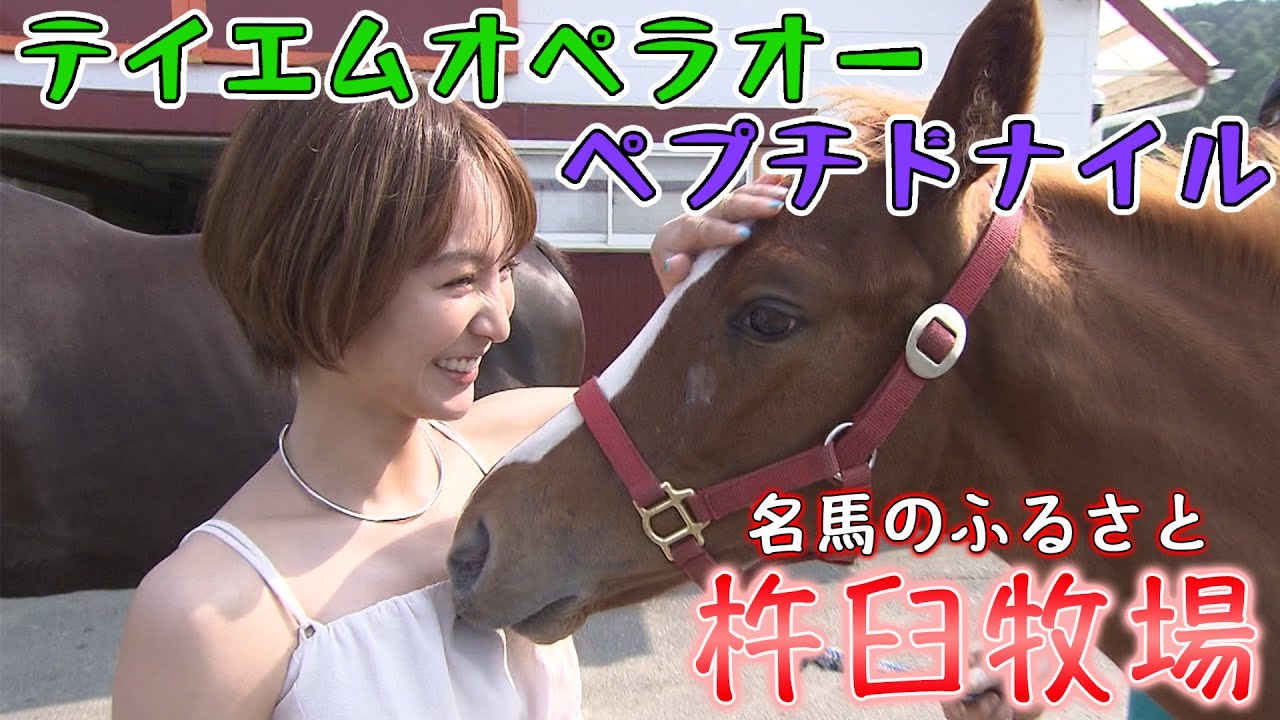【ほのかの北海道取材②】ダート王のふるさとを訪ねて【杵臼牧場】