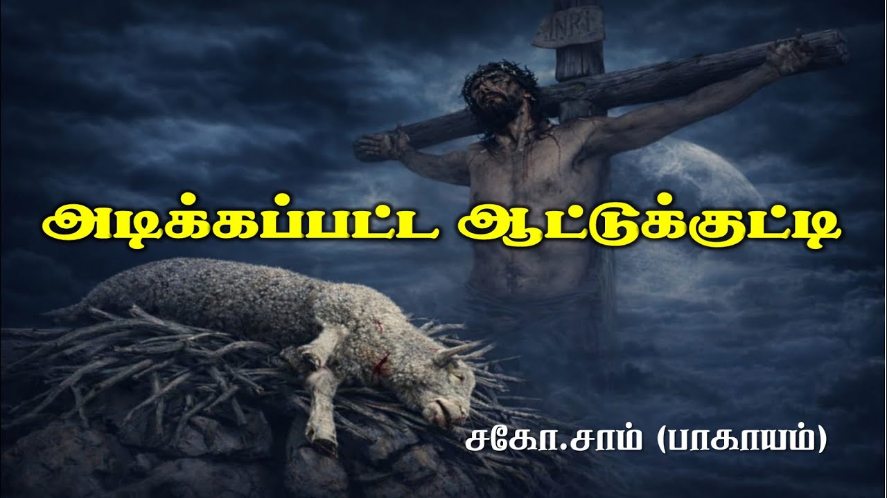 அடிக்கப்பட்ட ஆட்டுக்குட்டி