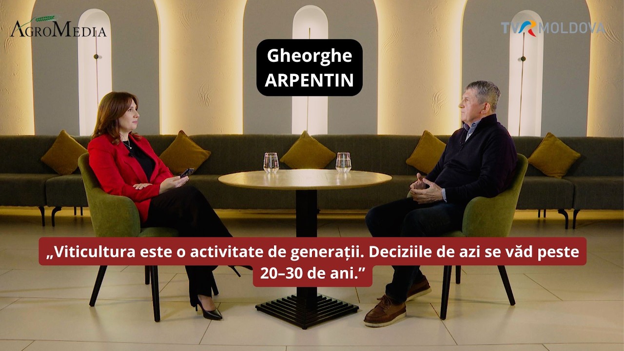 Seceta, stocurile mari și viitorul cramelor mici – Adevărul despre piața vinului | Gheorghe Arpentin