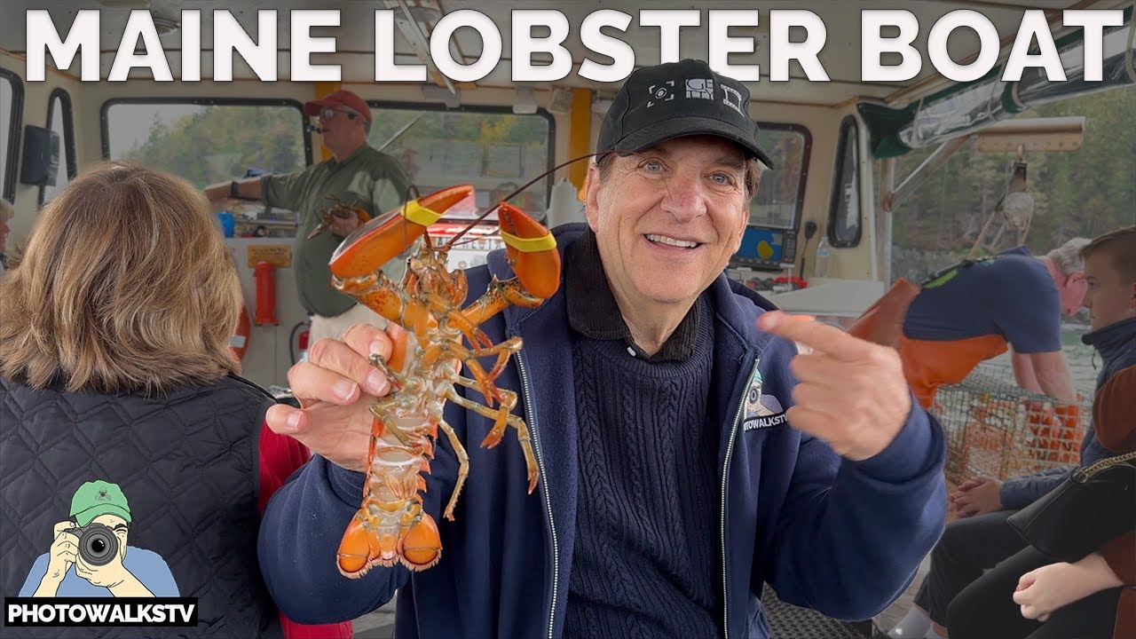 🦞🦞🦞 Lobster Travel Photography Tour: Bar Harbor, Maine