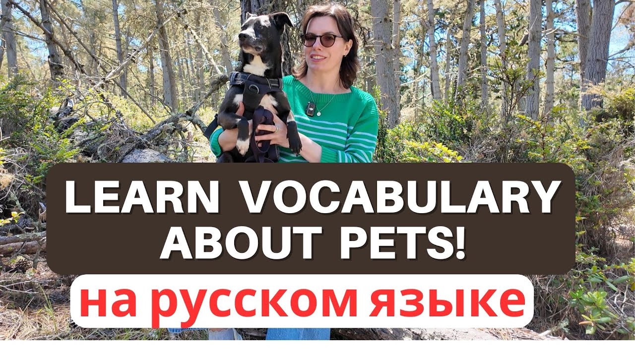 PET VOCABULARY IN RUSSIAN / Russian for Beginners /УРОК О ЖИВОТНЫХ НА РУССКОМ ЯЗЫКЕ / LEARN RUSSIAN
