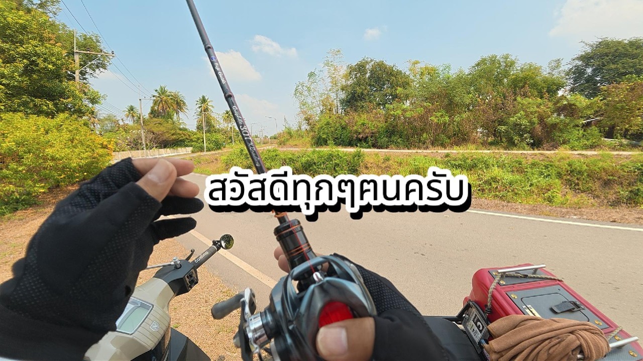ตกปลาข้างทางกับอากาศสุดชิว#fishing #ตกปลาช่อน #automobile #ตกปลาช่อนข้างทาง