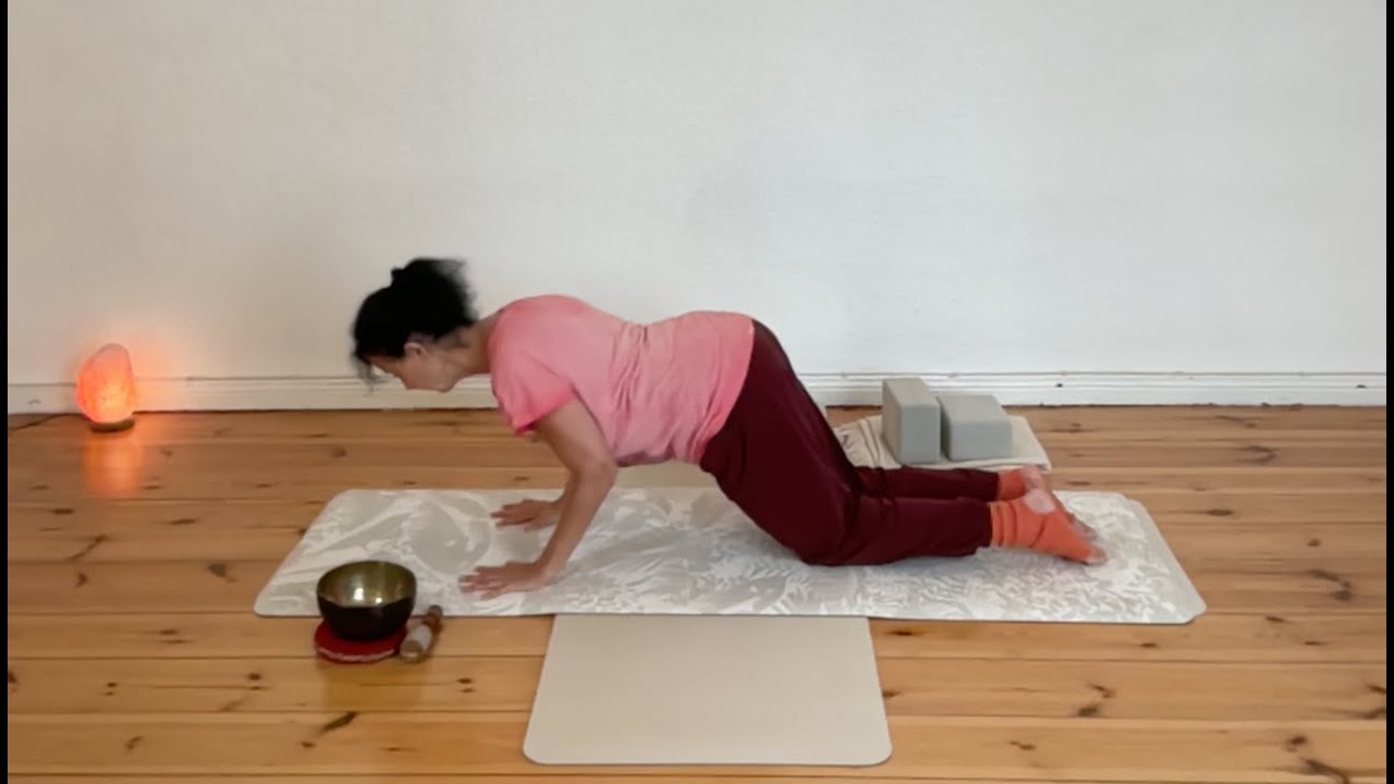 Armkraft im Yoga mit Katzen Liegestütze 