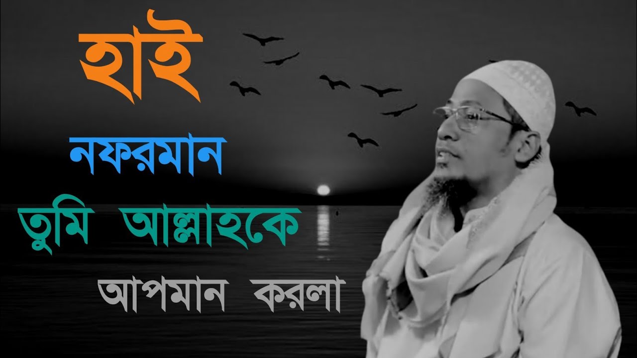 হাই নাফরমান তুমি আল্লাহকে অপমান করলা 😅💔/ আনিসুর রহমান আশরাফী নতুন ওয়াজ ২০২৬ / MASUM KHAN KKS