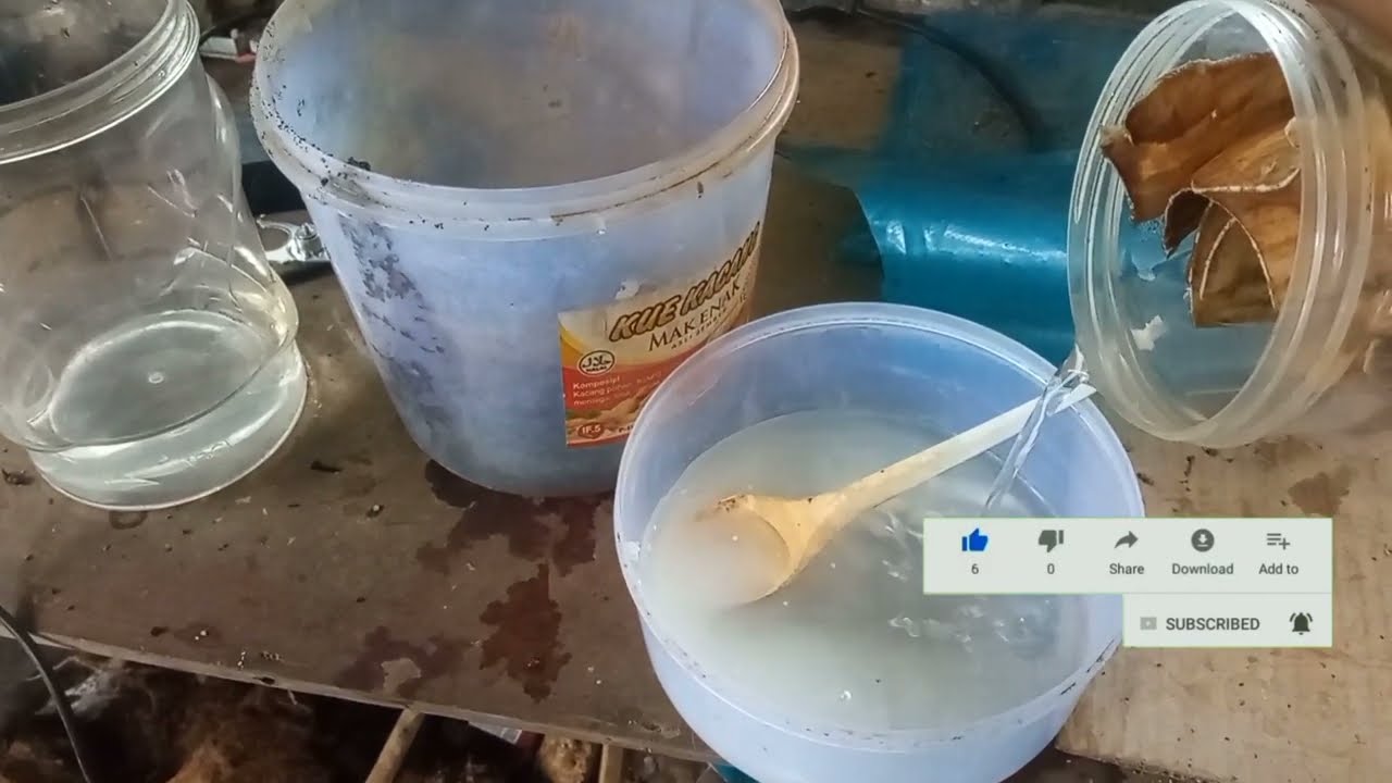 @cairan pelarut emas sistem basa