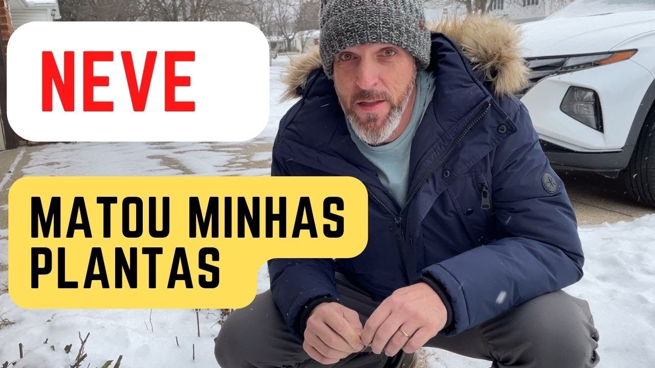 A Neve Matou Minhas Plantas - Será?