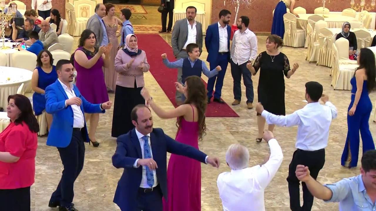 şeyhmus alpaslan 2016