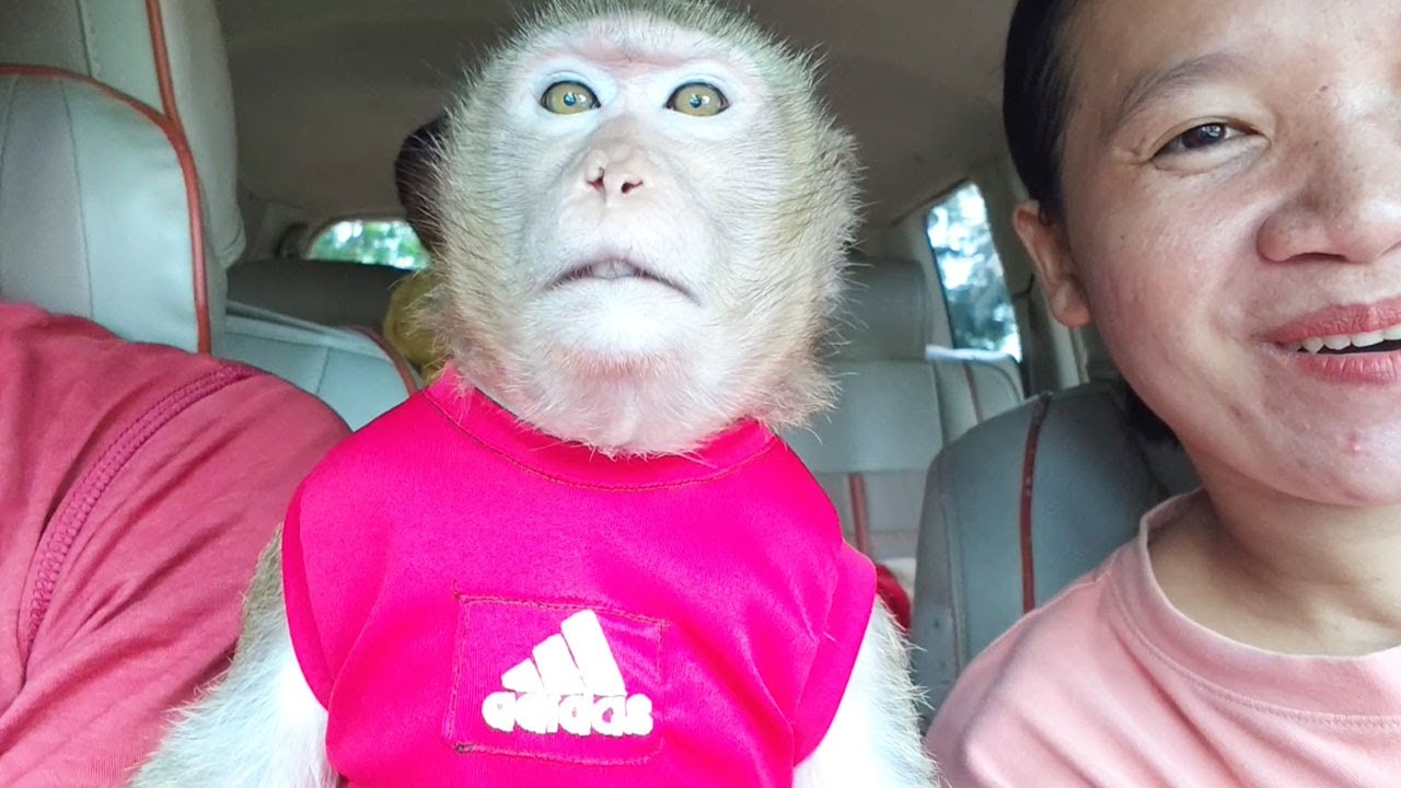 LyLy Is On The Way To Vet With Family