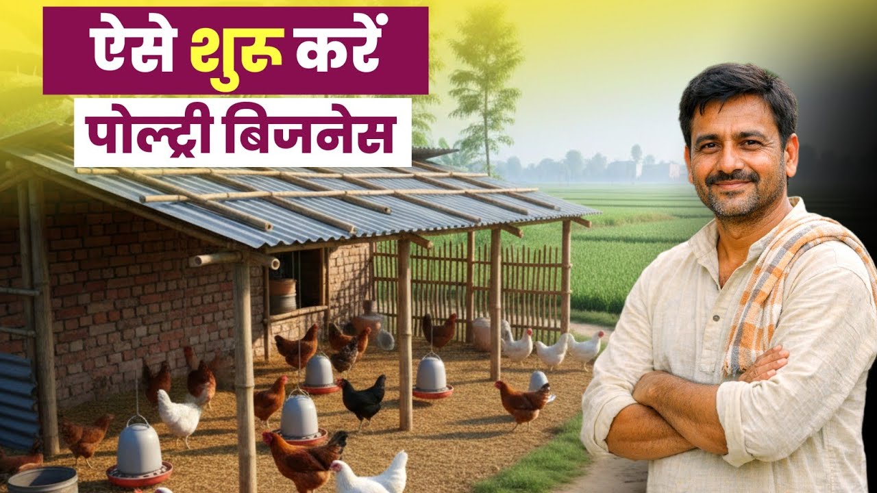 मुर्गी पालन शुरू करने का सबसे आसान तरीका 🐔 || Poultry farming business plan 
