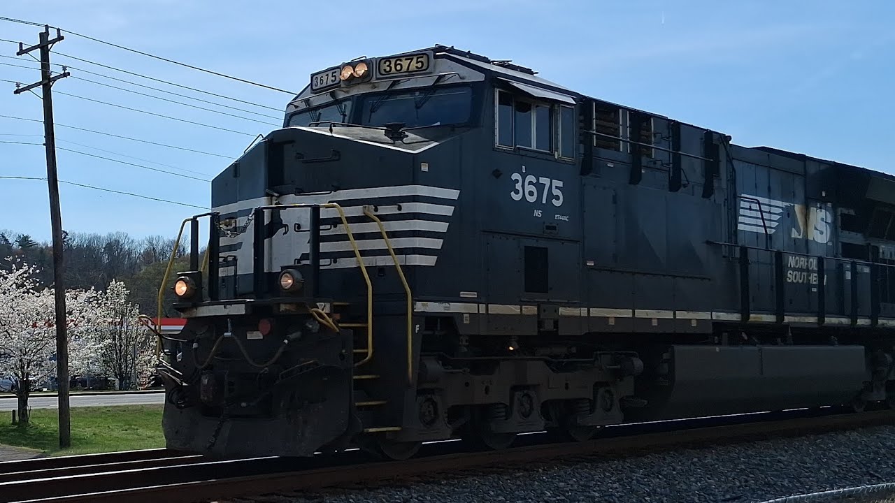 Ns 3675 leads mixed