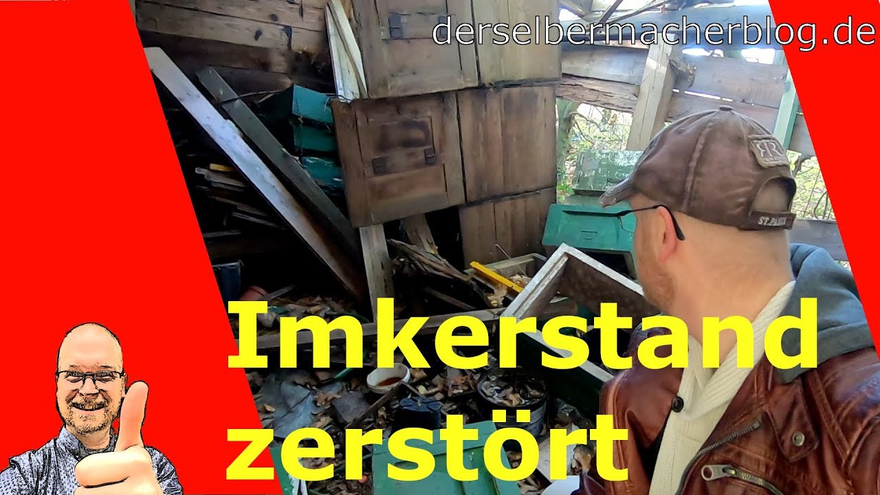 Imkerei: Bienenstand zerstört! (Bergkamen, Naturschutzgebiet Beversee)