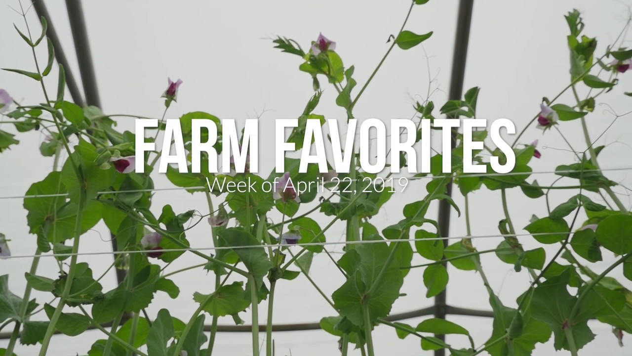 Farm Favorites | Week of April 22