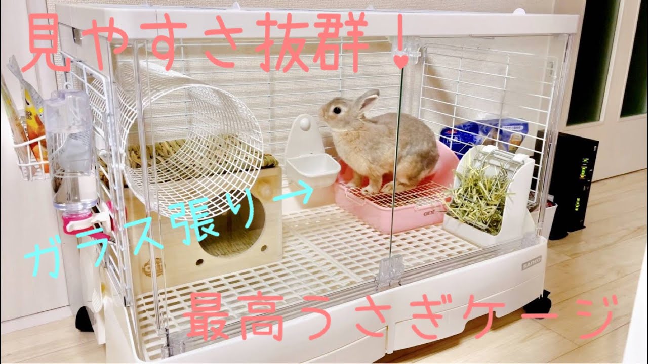 うさぎ用オススメケージ！見やすさ抜群！ガラスドア！