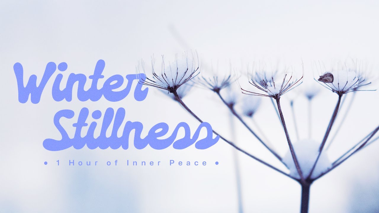 Finding Peace: 1 Hour of Nature’s Resilience | Raise It Yourself — Ambient Music