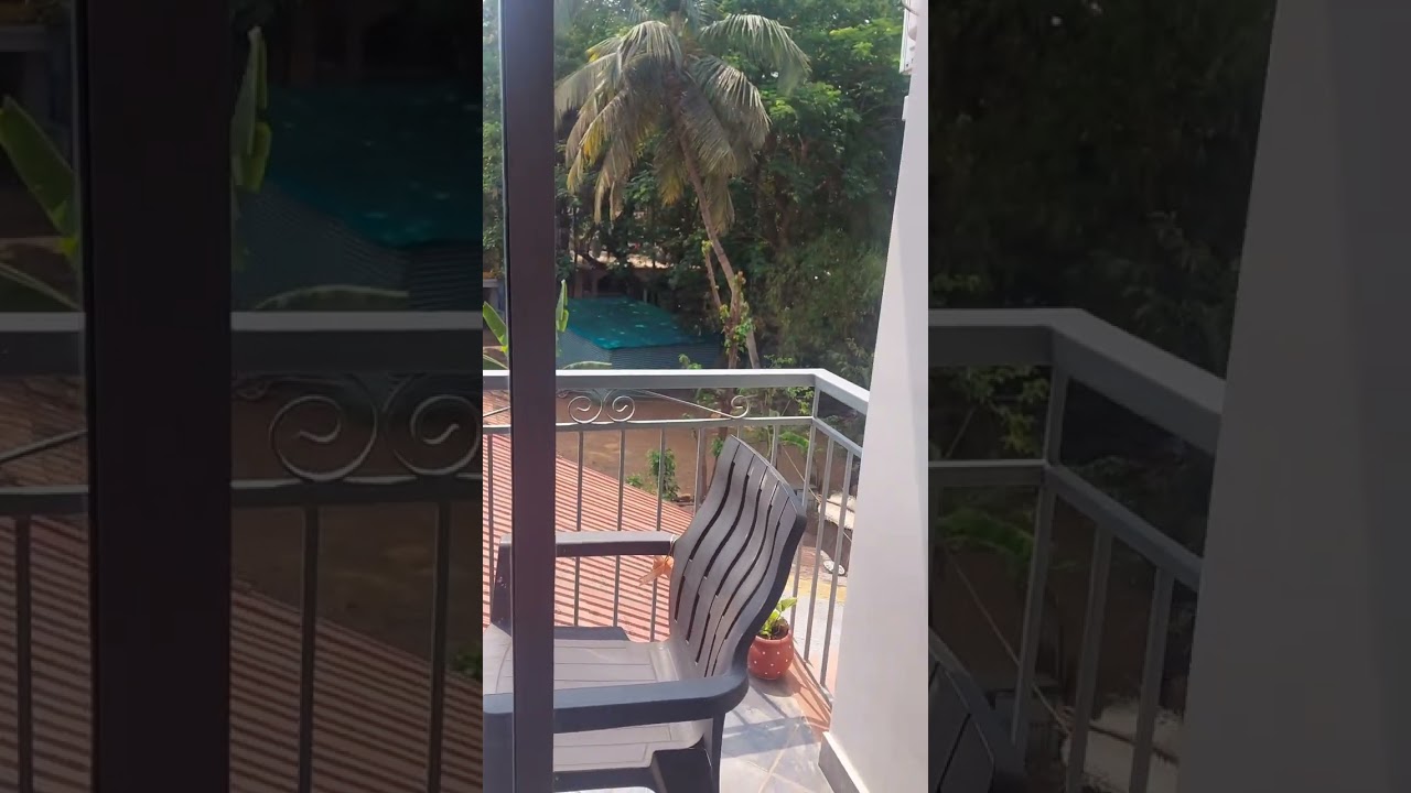 Zostel, Morjim Goa #zostel #morjim