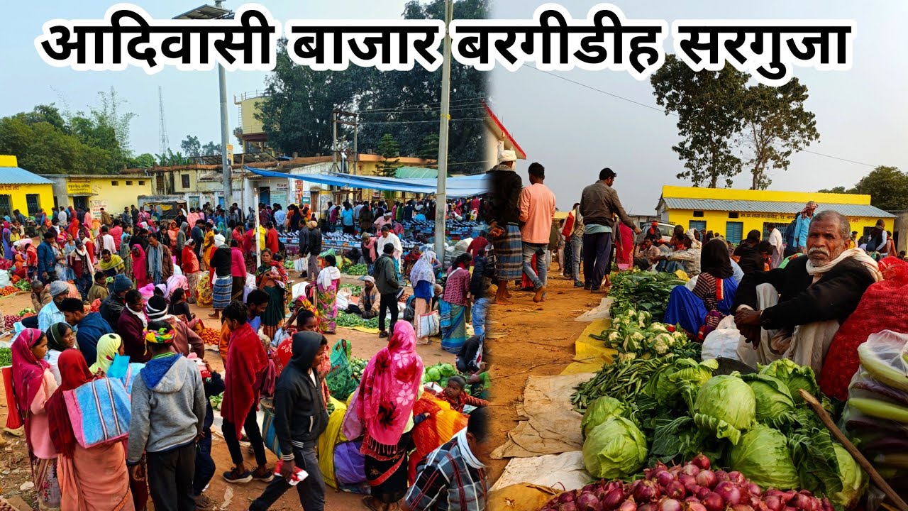 आइए जानते हैं बरगीडीह बाजार में सेमी सब्जी का क्या रेट हैं 🤩/Tribal Market Bargidih Surguja/#market