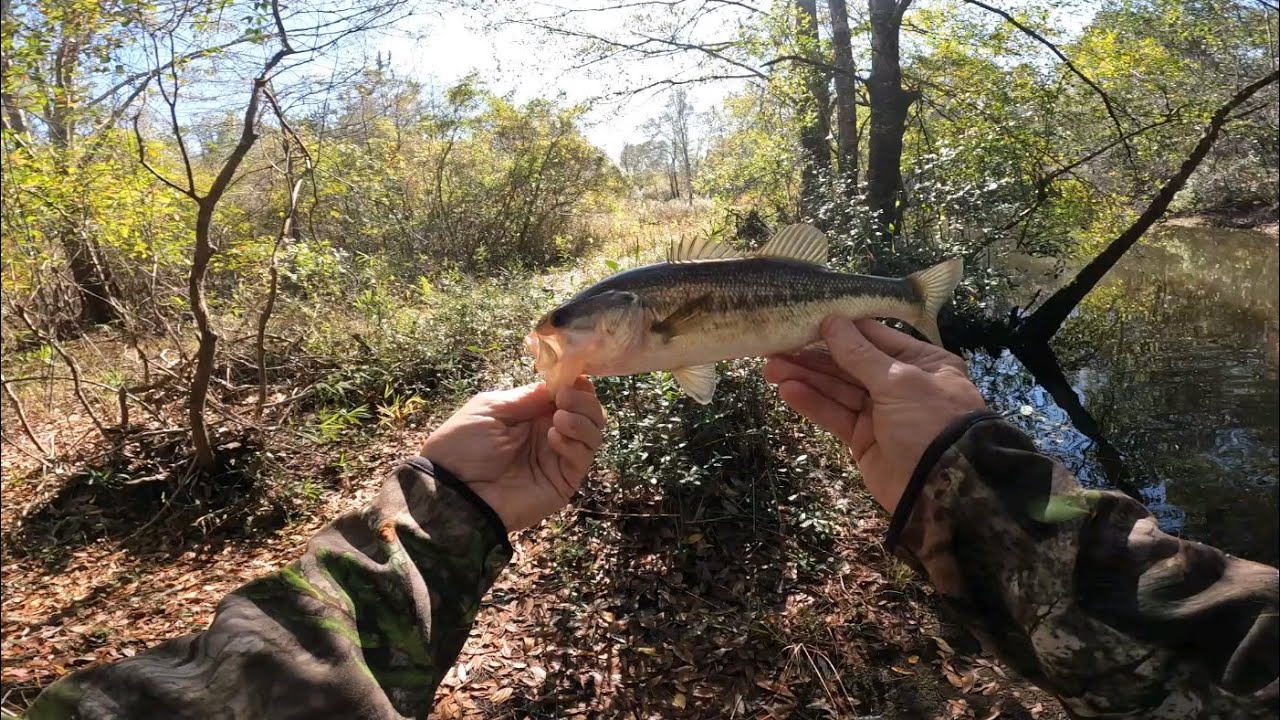 Приманка Trick Worm's для ловли окуня в холодной воде.