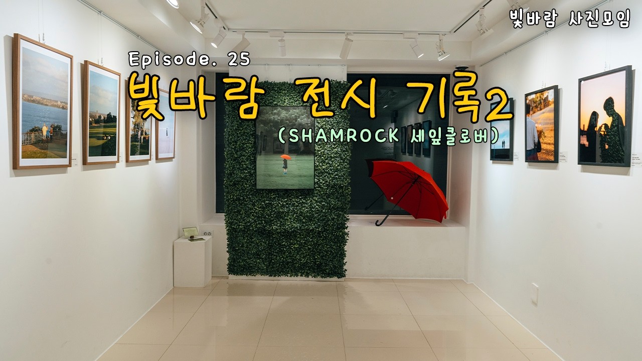 빛바람 사진전 'SHAMROCK'｜우리 곁에 있는 행복을 찾아서 (中) [빛바람 사진모임 EP.25]
