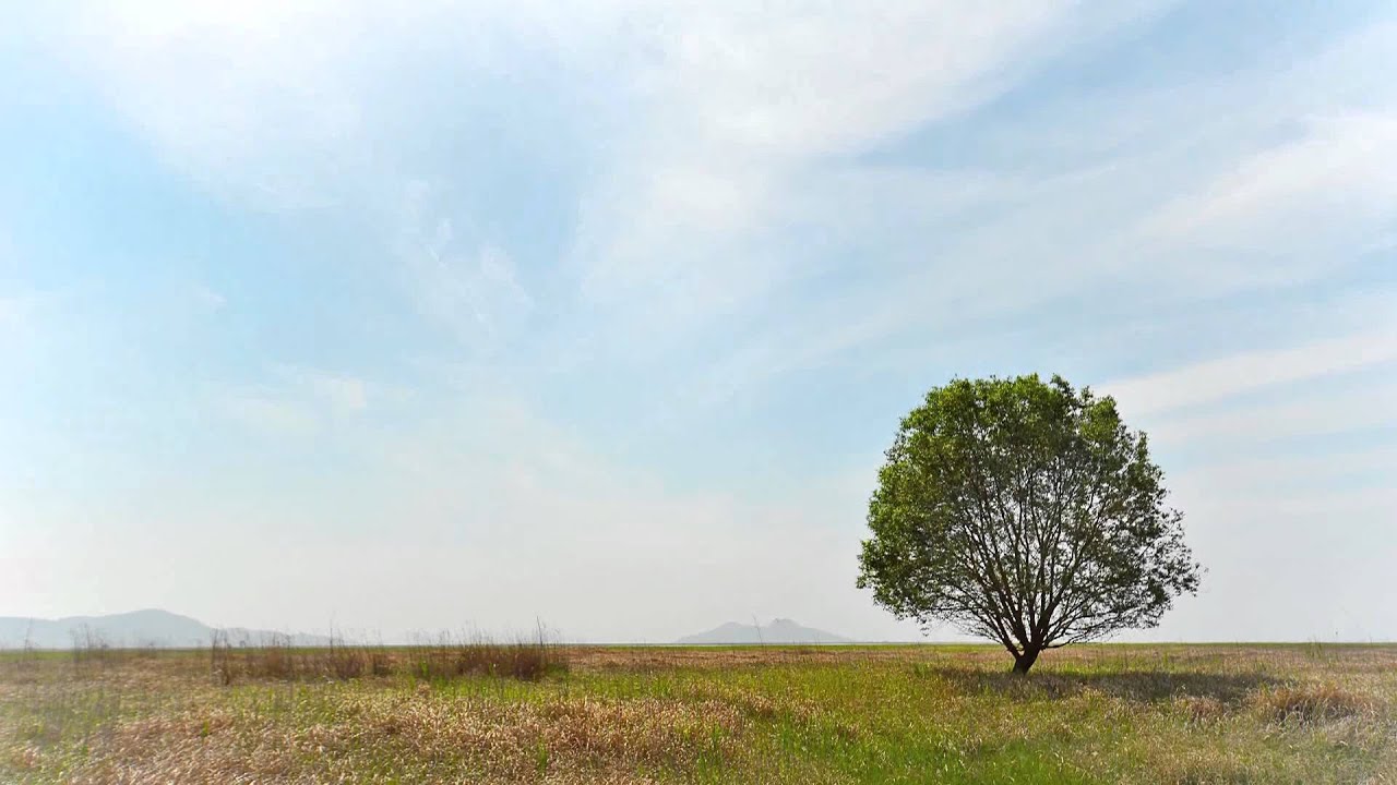 우음도_time lapse 1