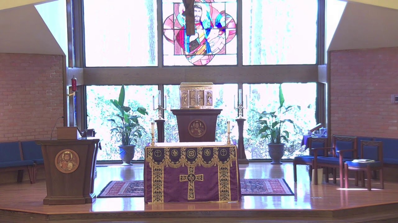 The Holy Mass at Saint Luke - February 22, 2026