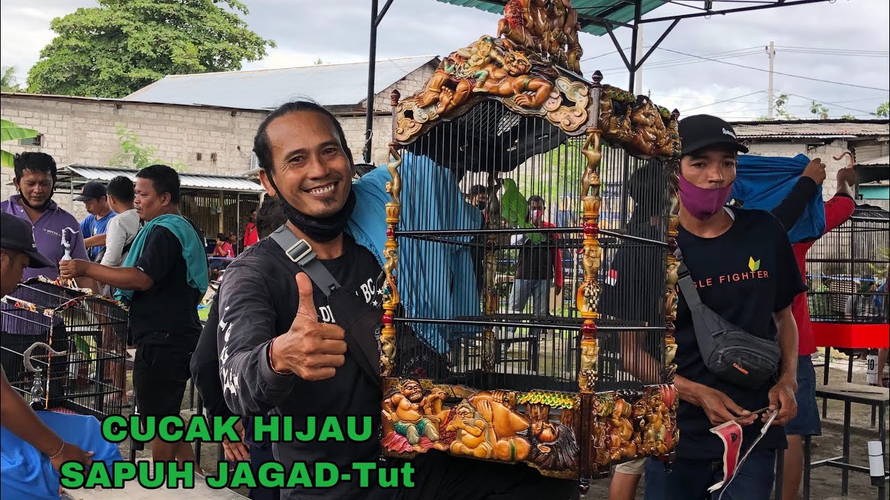 CUCAK HIJAU SAPUH JAGAD - TUT GINDRONG DEWATA BC