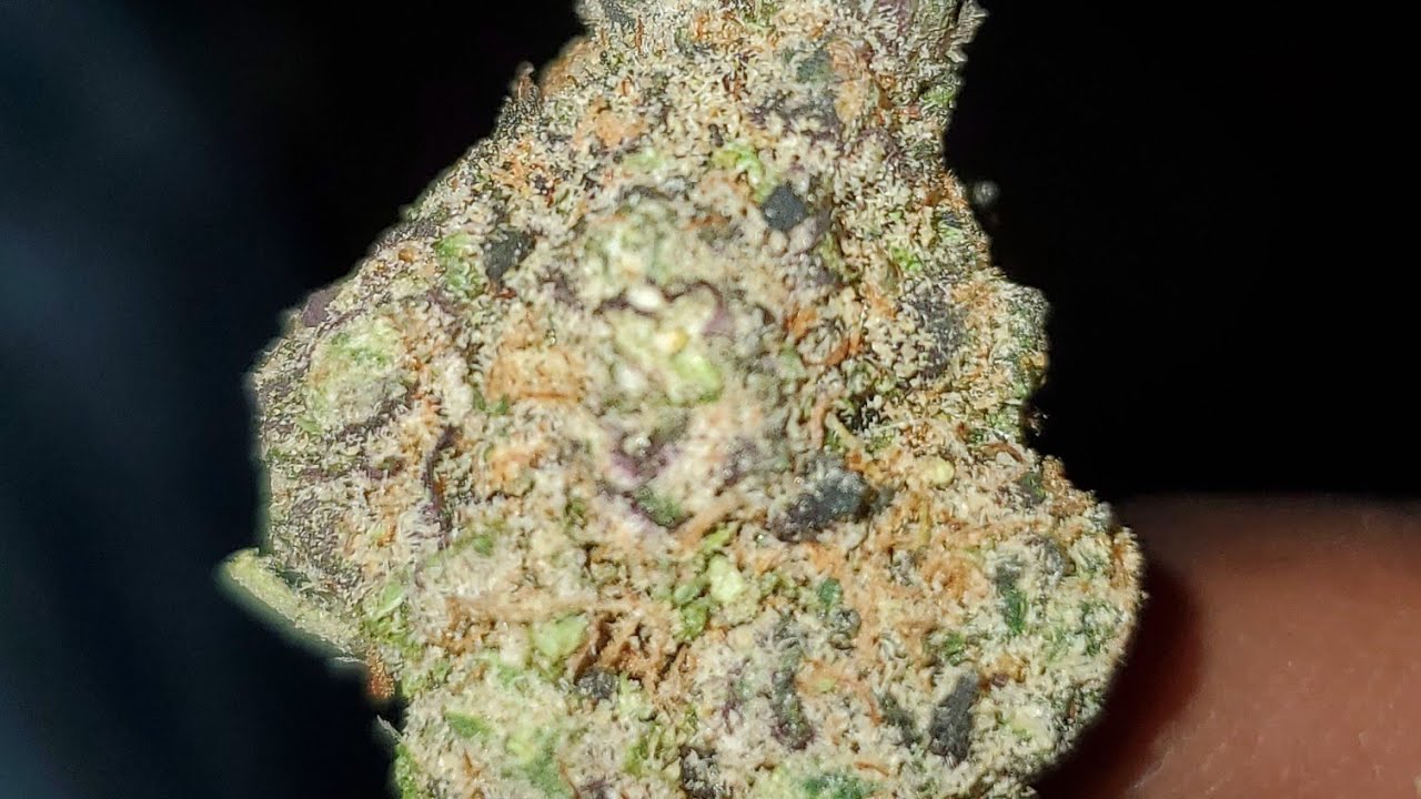 GORILLA SNACKS STRAIN WAKE AND BAKE STYLE