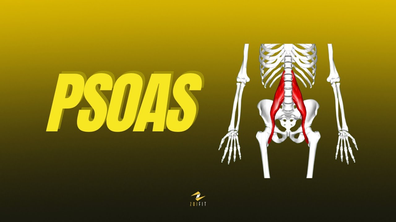No podía solucionar mis problemas de PSOAS hasta que entendí esto...