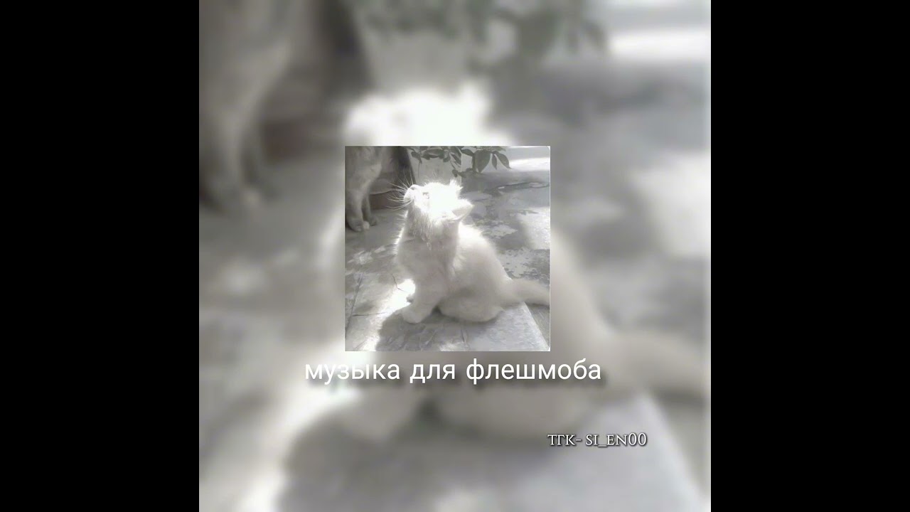 музыка для флешмоба || популярные песни