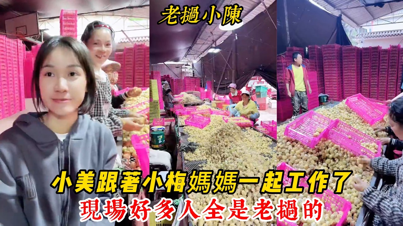 【老撾小陳】小美跟著小梅媽媽一起在中國工作了 120一天！現場好多人，全是老撾的