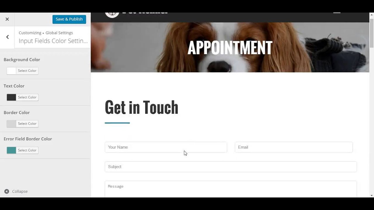 How To Edit Input Fields Color Settings From Theme Customizer