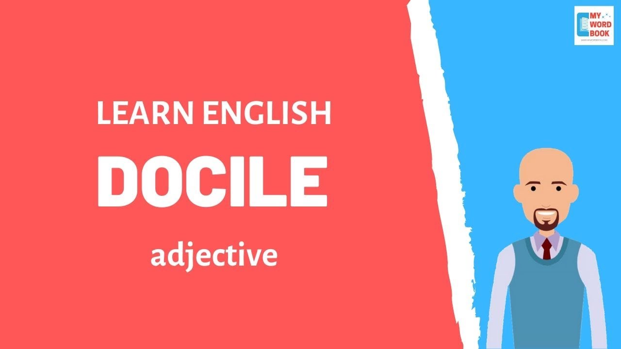 Docile | Meaning with examples | My Word Book