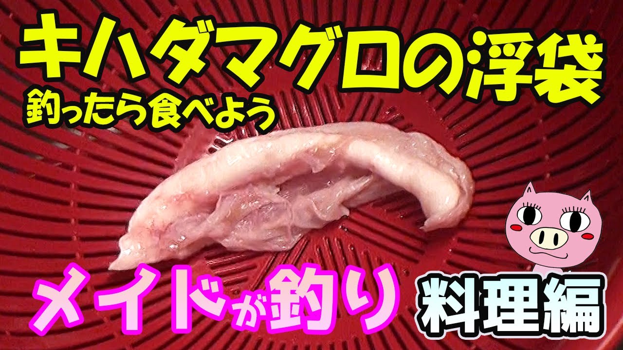 【釣り料理】キハダマグロの浮袋レシピ