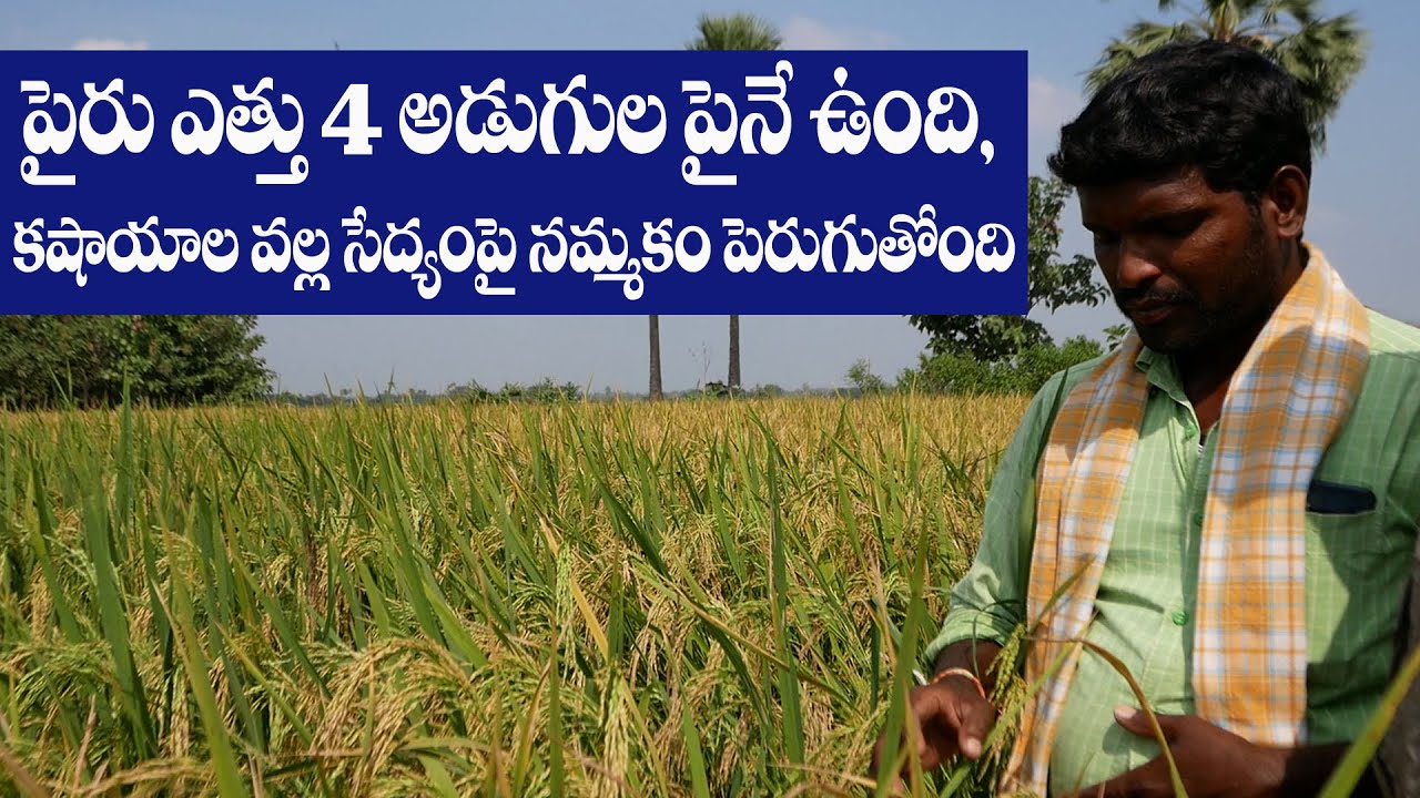 E143 | వ్యవసాయంలో రాణిస్తున్న యువతరం  | @GramaBazaar | 833 1800 100