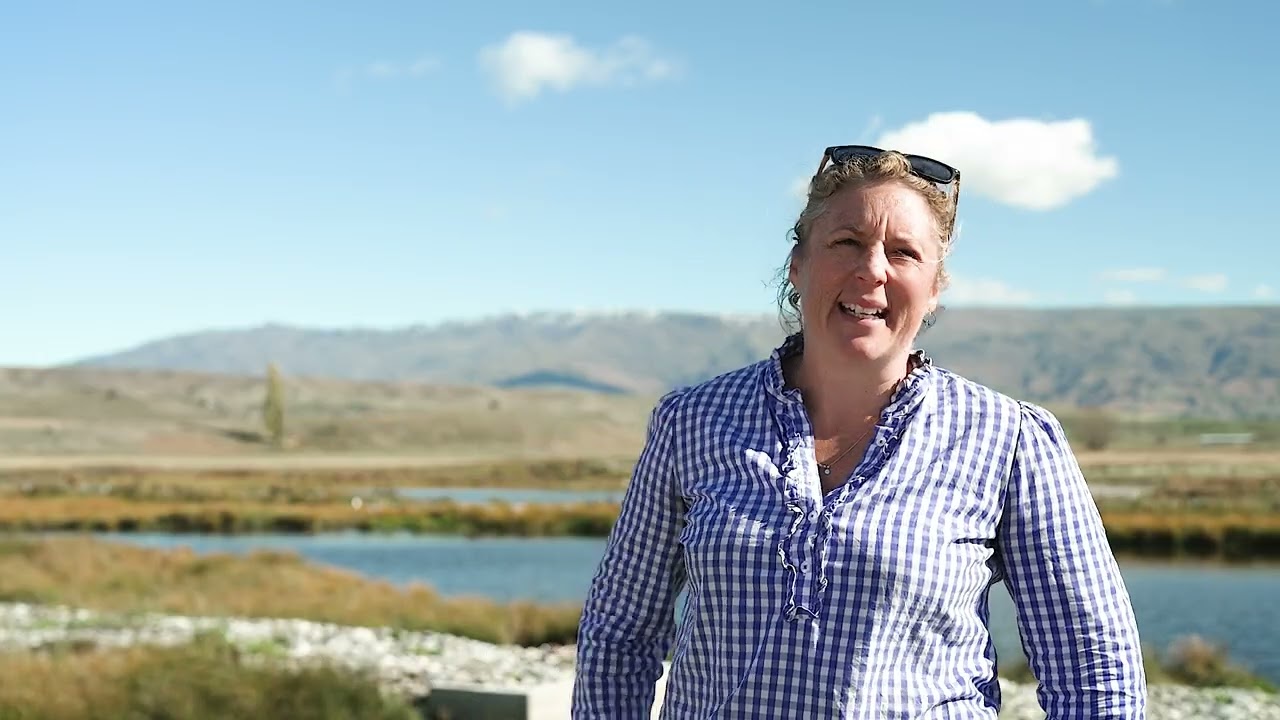 Volunteer Trapping at Orkney Wetland (Thomsons Creek) near Omakau, Central Otago, New Zealand.