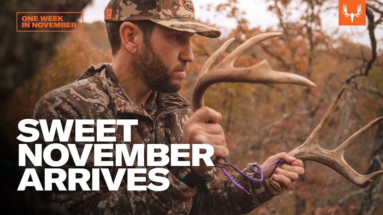 Sweet November Arrives | One Week In November