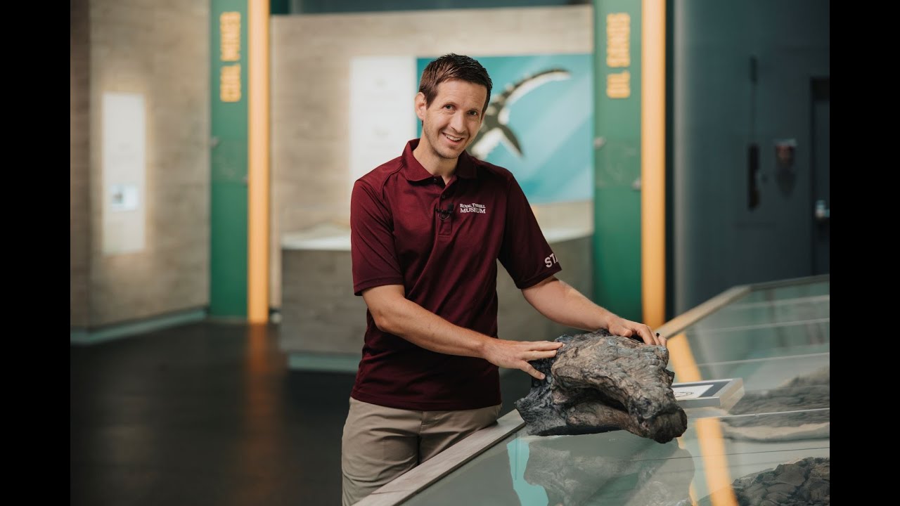 Cretaceous Q&A: 