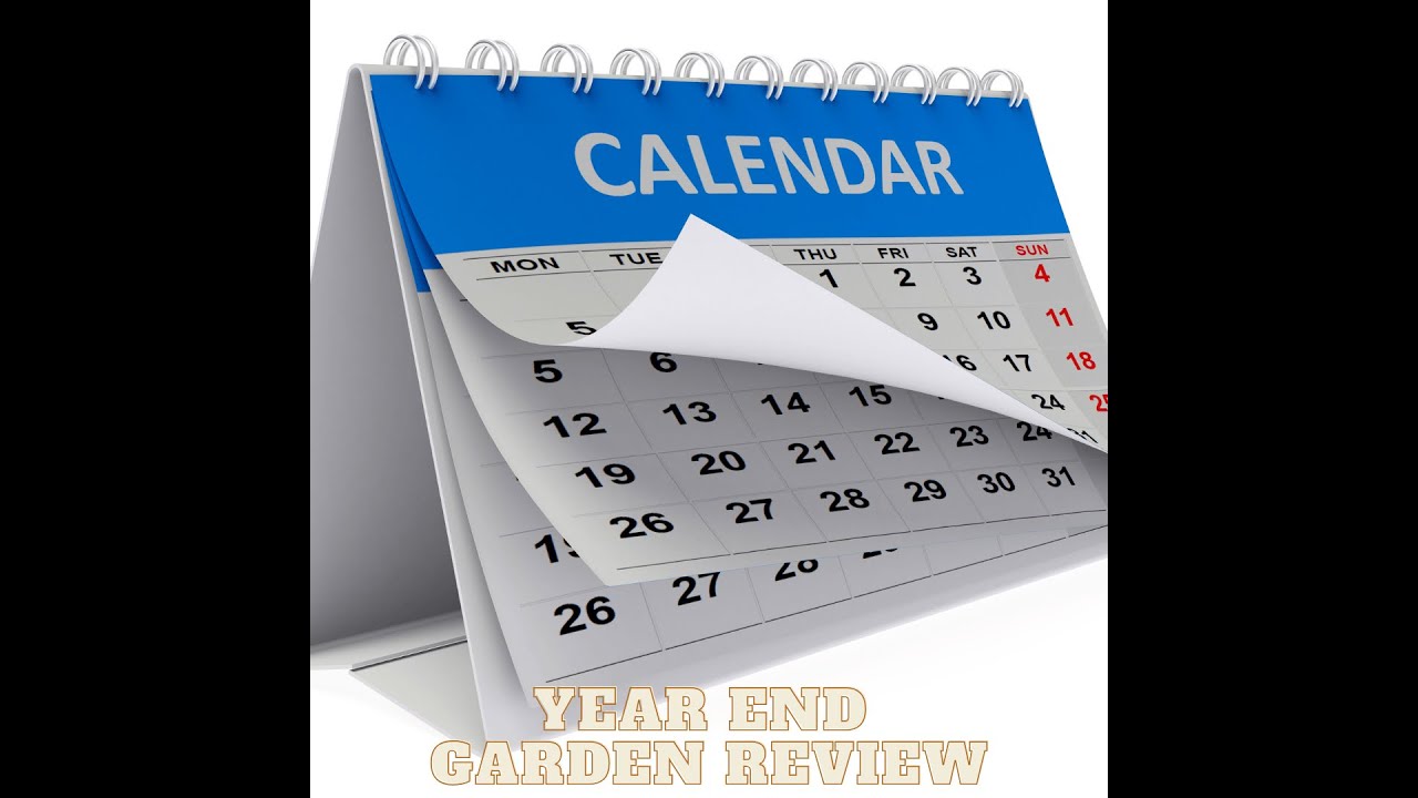 📅Lisa&rsquo;s Year End Garden Review, the Good, The Bad and the Ugly