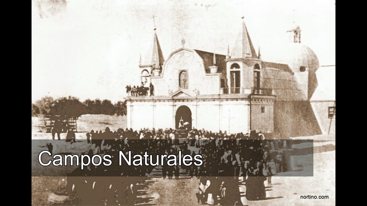 Campos Naturales|La Tirana|Música Tirana y Tarapaca Música