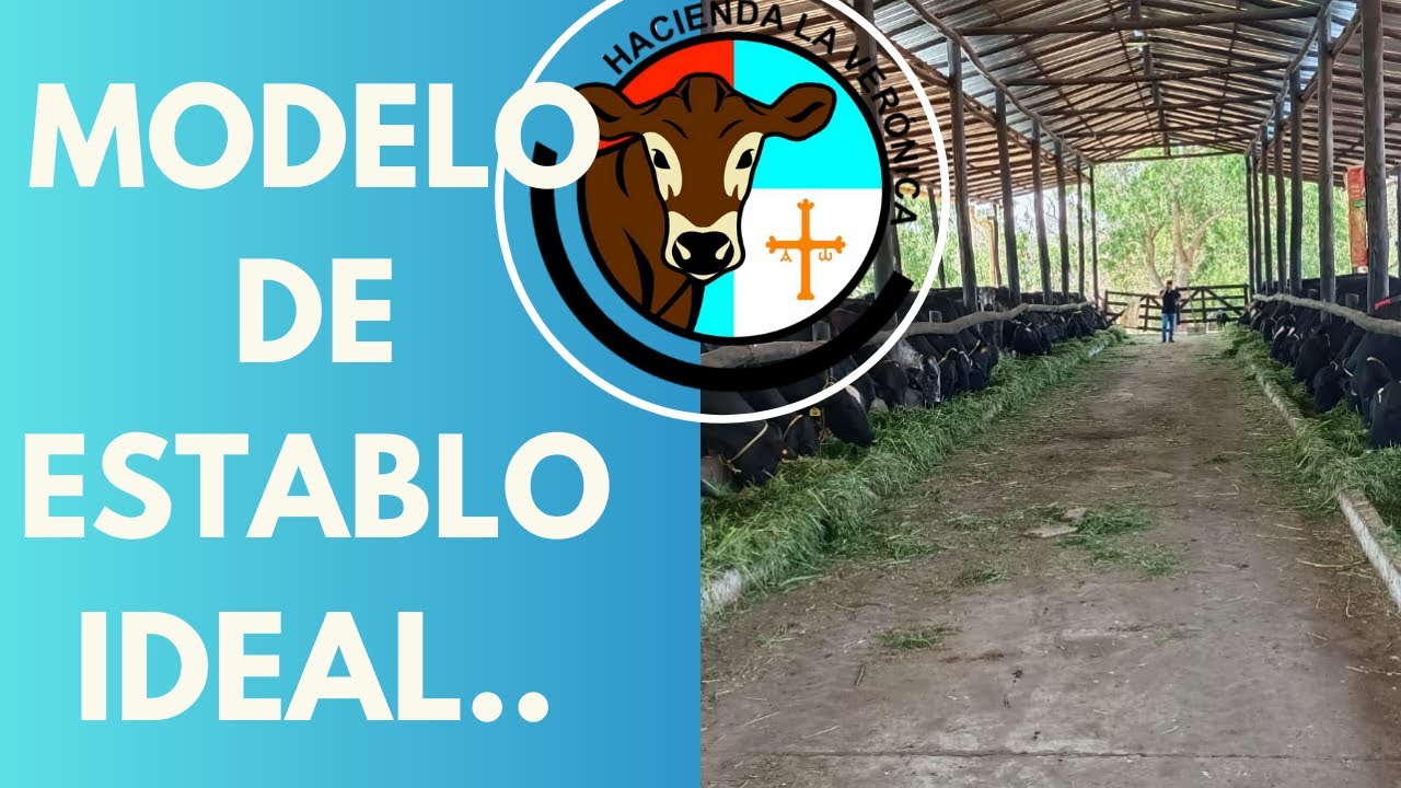 MODELO DE ESTABLO IDEAL