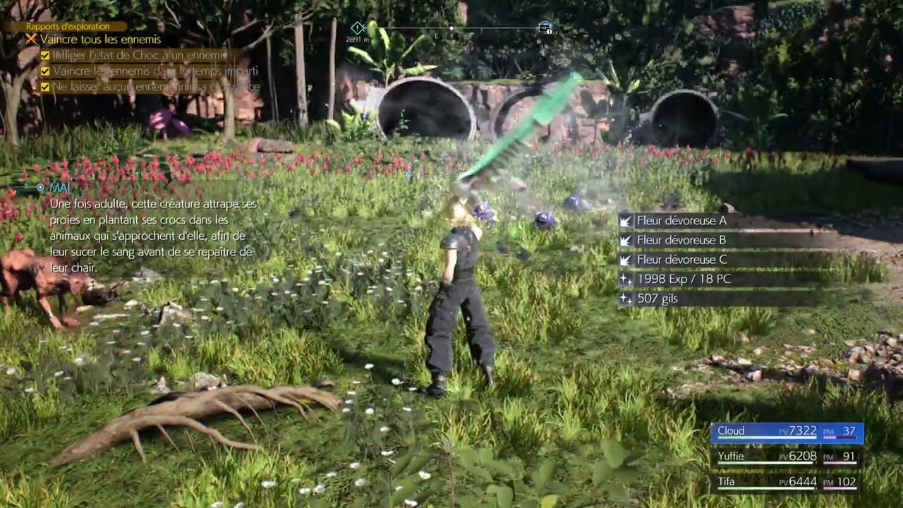 Rapports d'exploration  Fleur devoreuse FINAL FANTASY VII REBIRTH